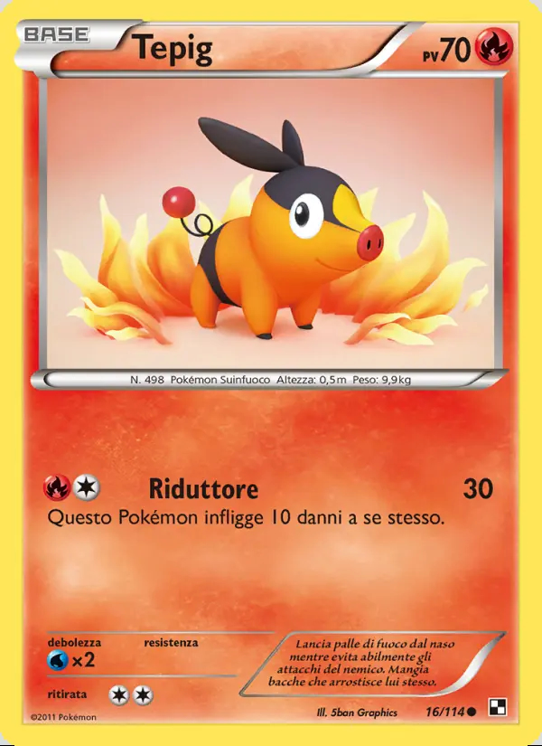 Image of the card Tepig