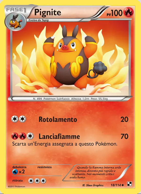 Image of the card Pignite