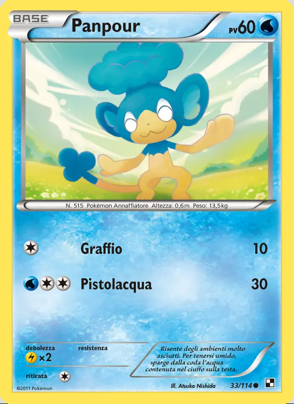 Image of the card Panpour