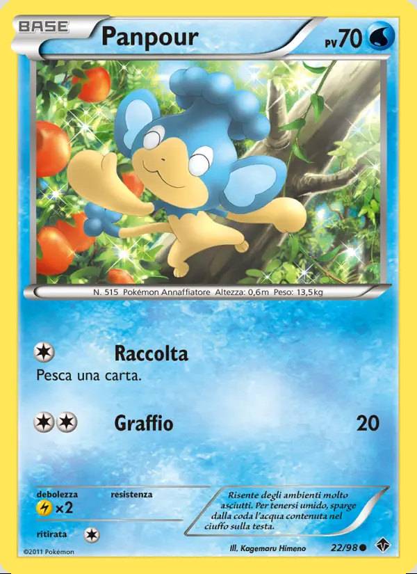 Image of the card Panpour