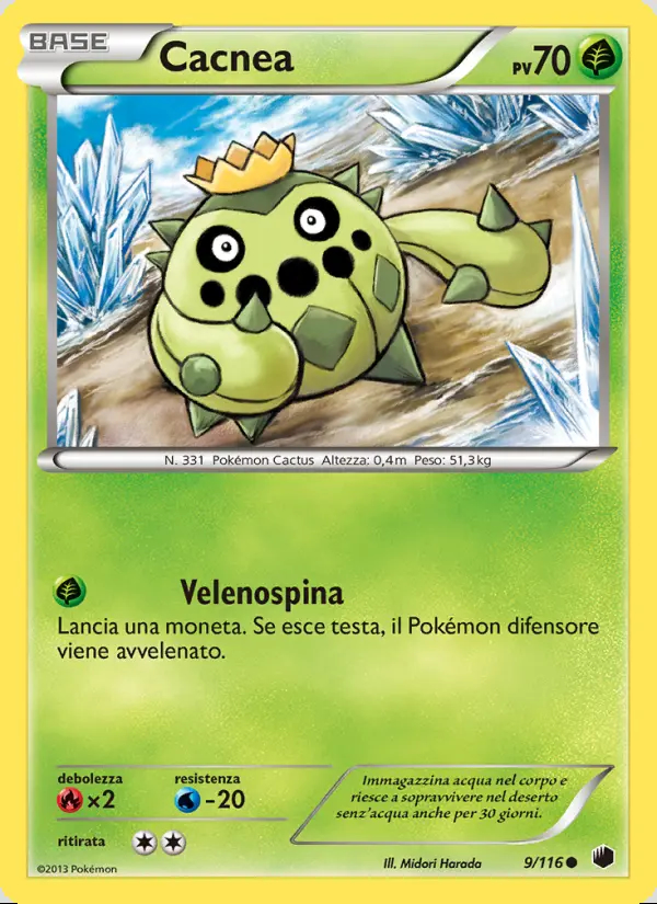 Image of the card Cacnea