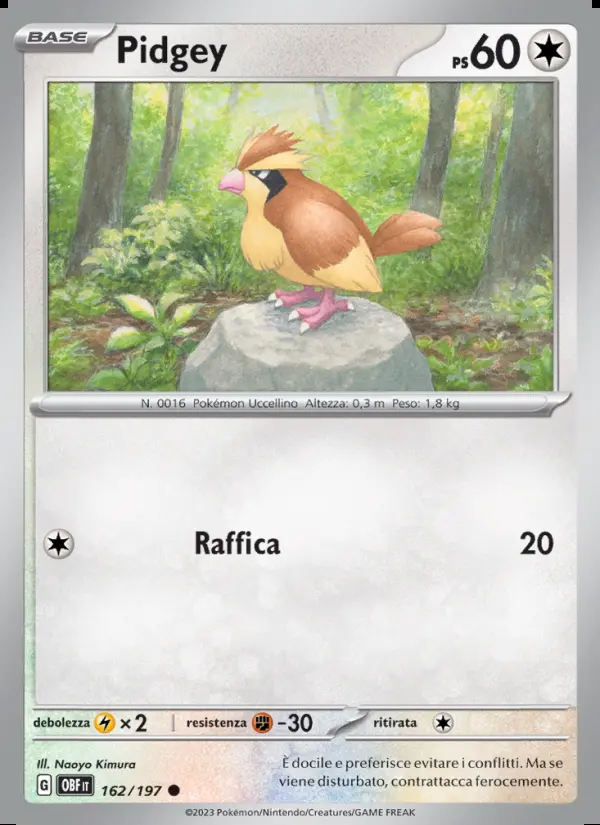 Image of the card Pidgey