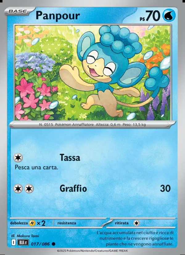 Image of the card Panpour