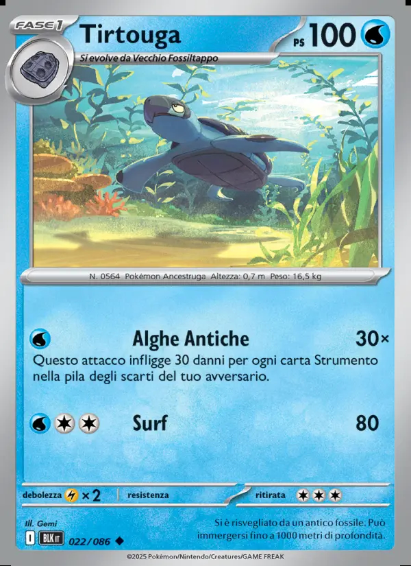 Image of the card Tirtouga