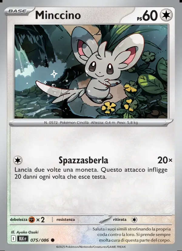 Image of the card Minccino