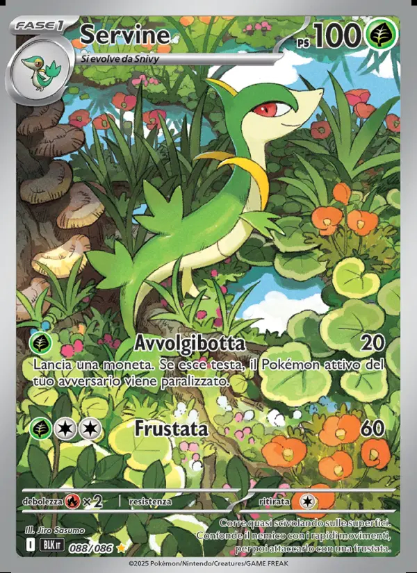 Image of the card Servine