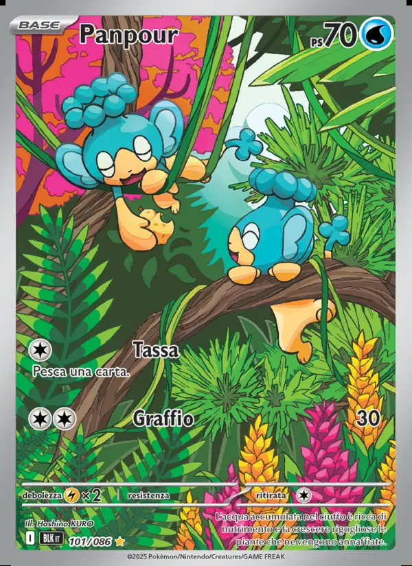 Image of the card Panpour
