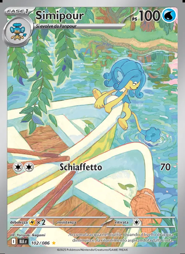 Image of the card Simipour