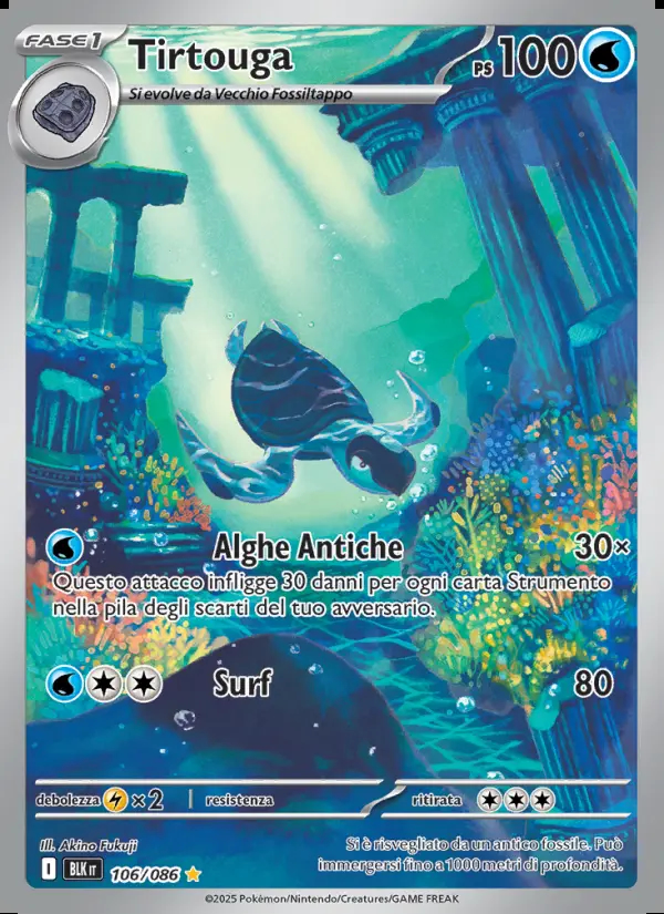 Image of the card Tirtouga