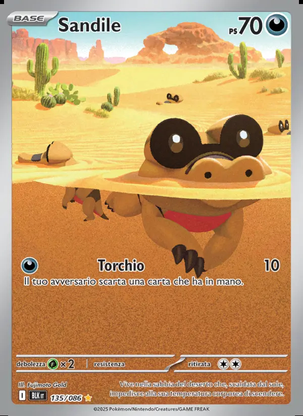 Image of the card Sandile