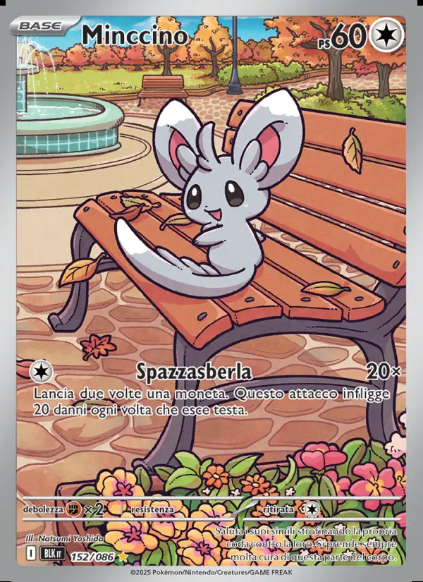 Image of the card Minccino