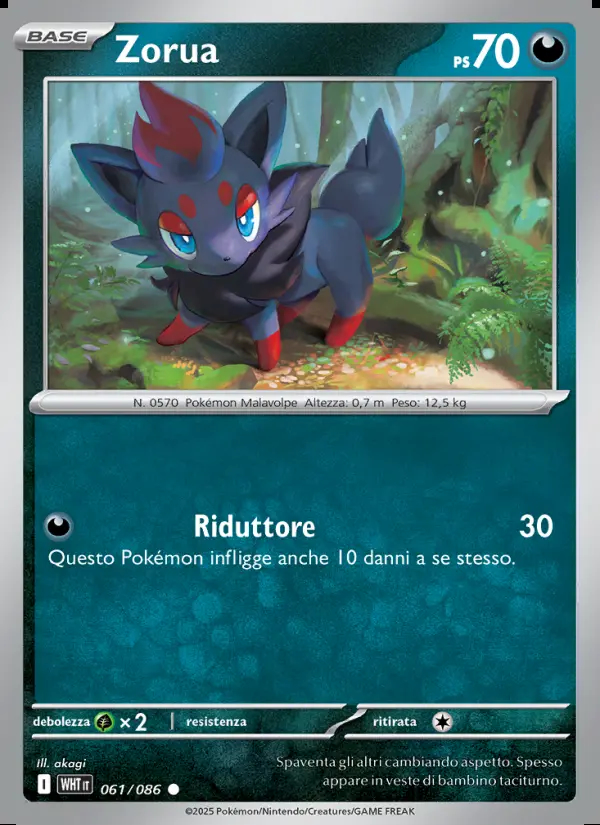 Image of the card Zorua