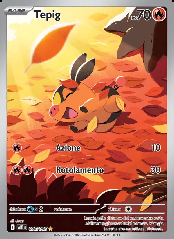Image of the card Tepig