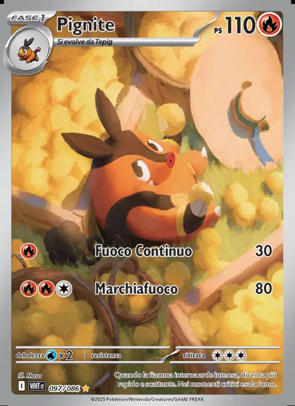 Image of the card Pignite