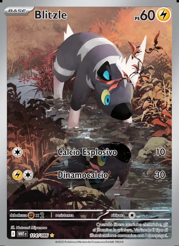 Image of the card Blitzle