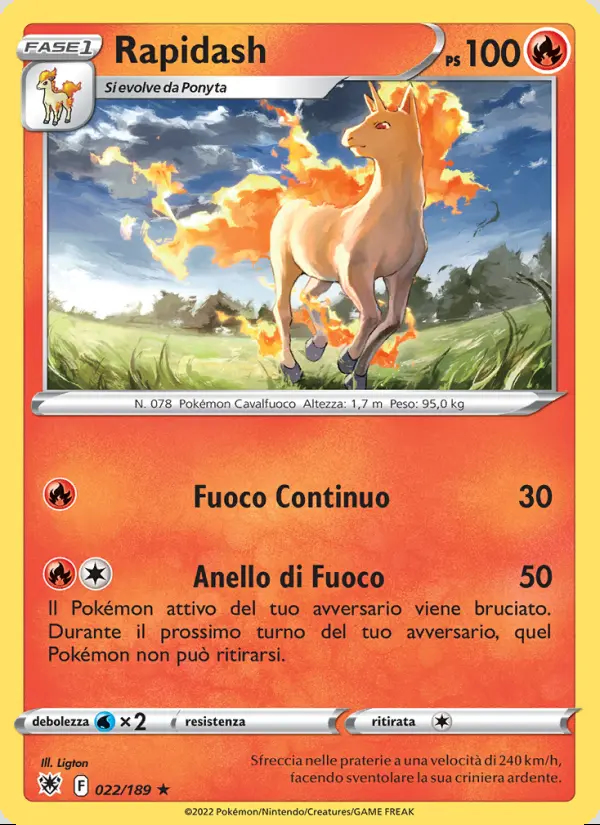 Image of the card Rapidash