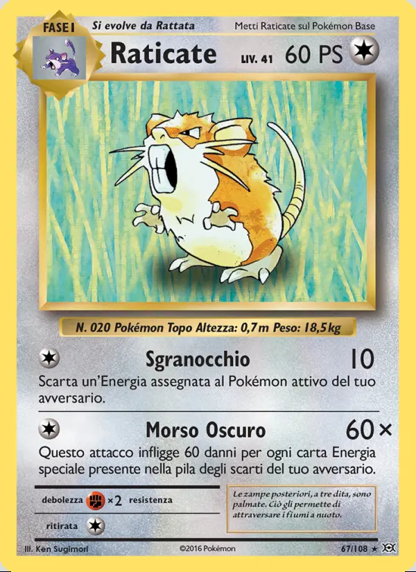 Image of the card Raticate